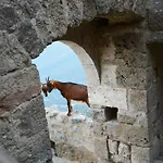Vilata A Dans Les Corbieres Sauvages Ferienhaus Padern