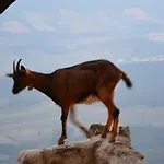 Vilata A Dans Les Corbieres Sauvages *