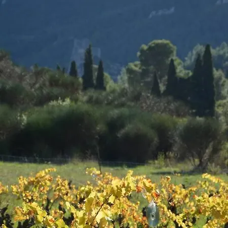 Prázdninový dům Vilata A Dans Les Corbieres Sauvages Padern